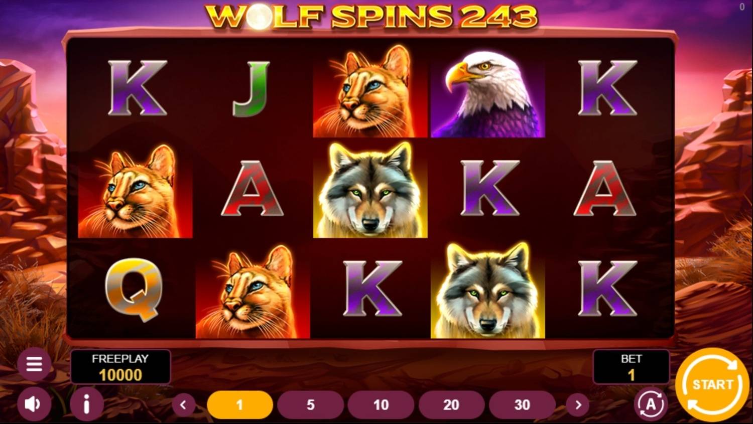 Wolf Spins 243