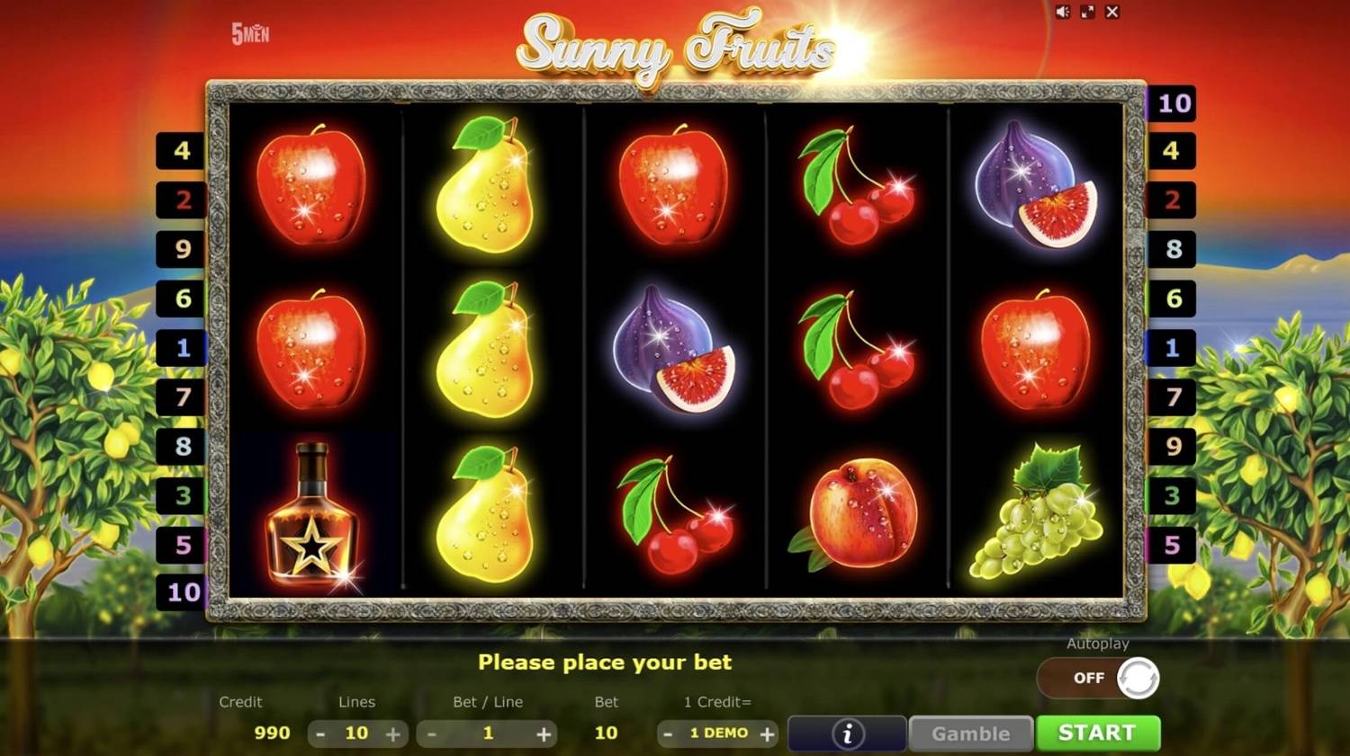 Sunny Fruits