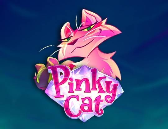Play Pinky Cat demo for free