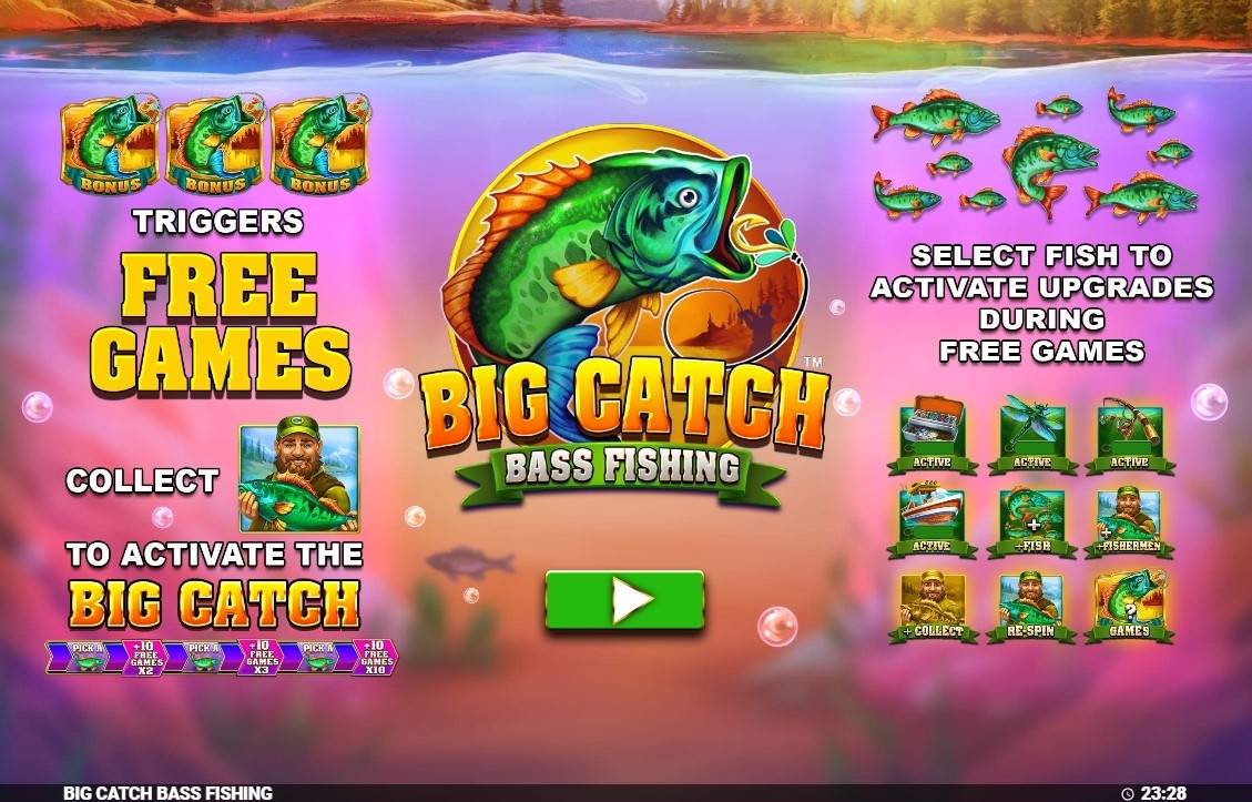 Big Catch Bass Fishing