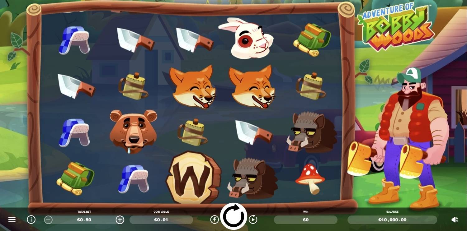 Adventure of Bobby Woods