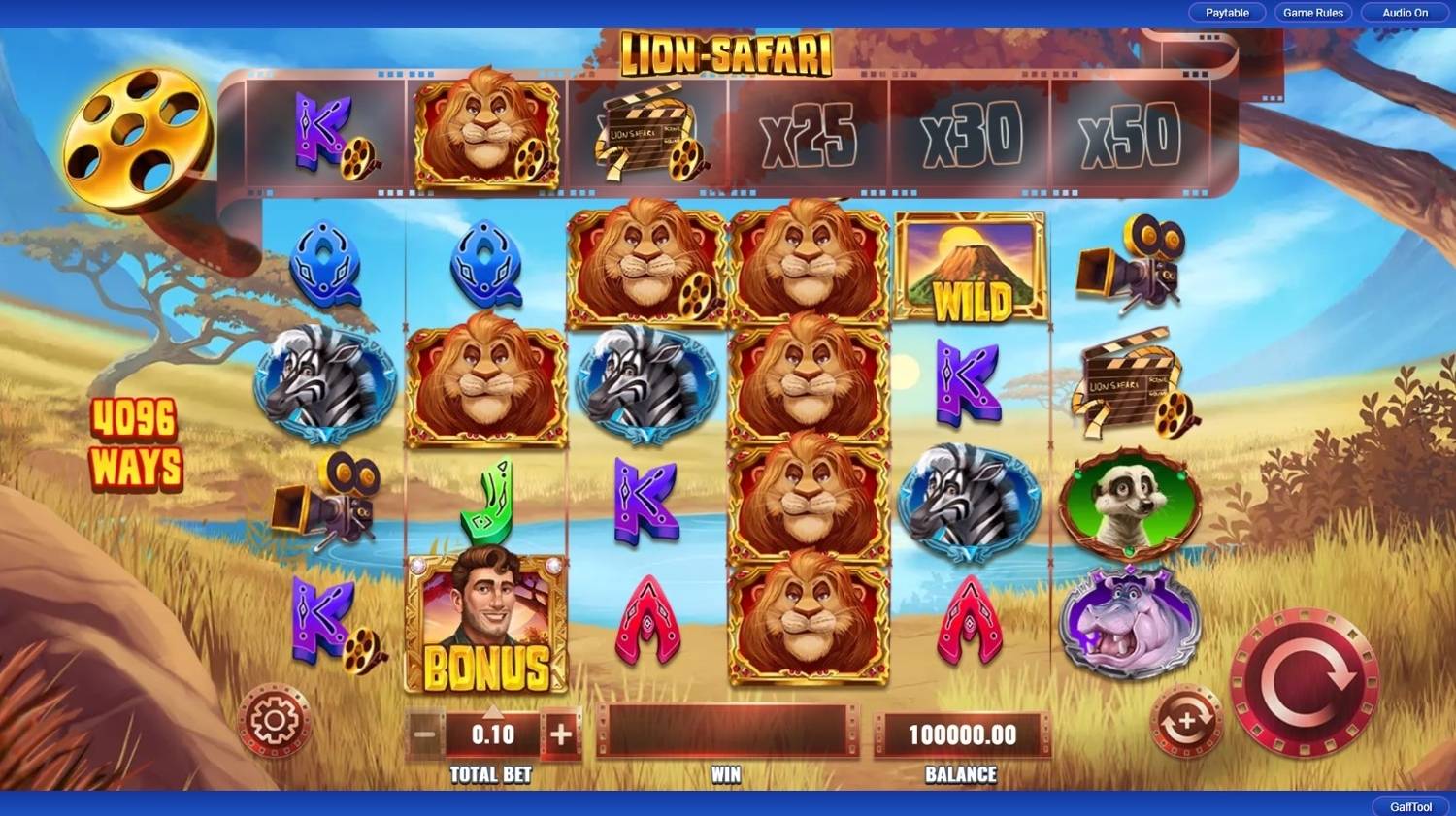 Lion Safari