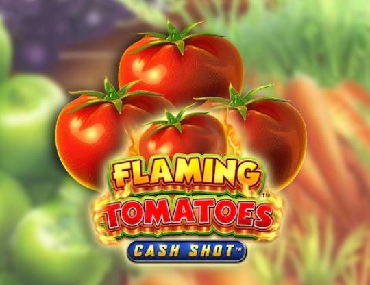 Play Flaming Tomatoes Cash Shot demo for free