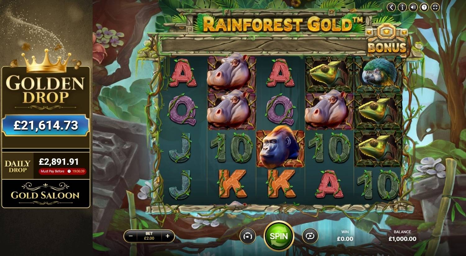 Rainforest Gold