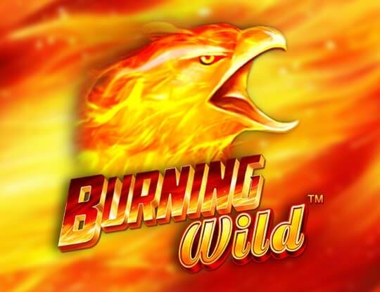 Play Burning Wild demo for free