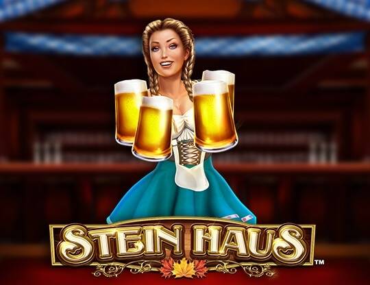 Play Stein Haus demo for free