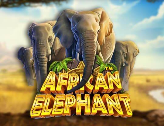 Play African Elephant demo for free