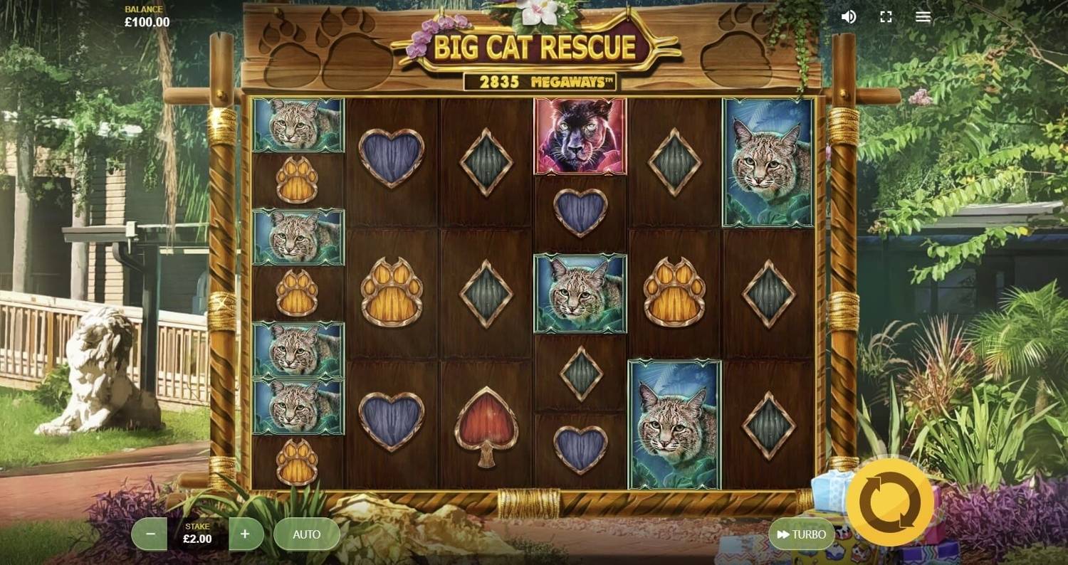 Big Cat Rescue Megaways