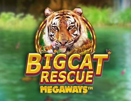 Play Big Cat Rescue Megaways demo for free