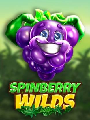 Play Spinberry Wilds demo for free
