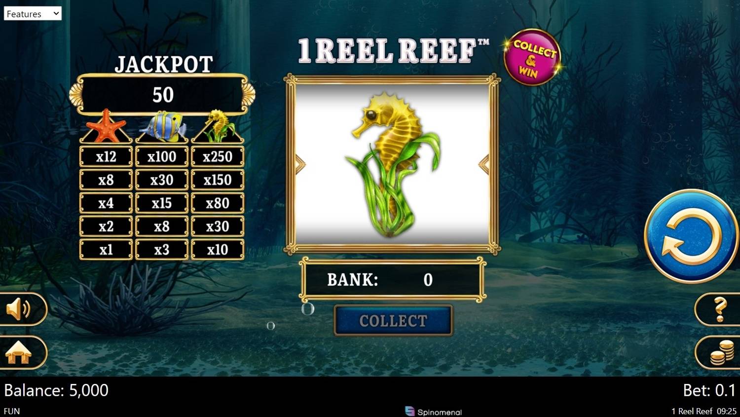 1 Reel Reef