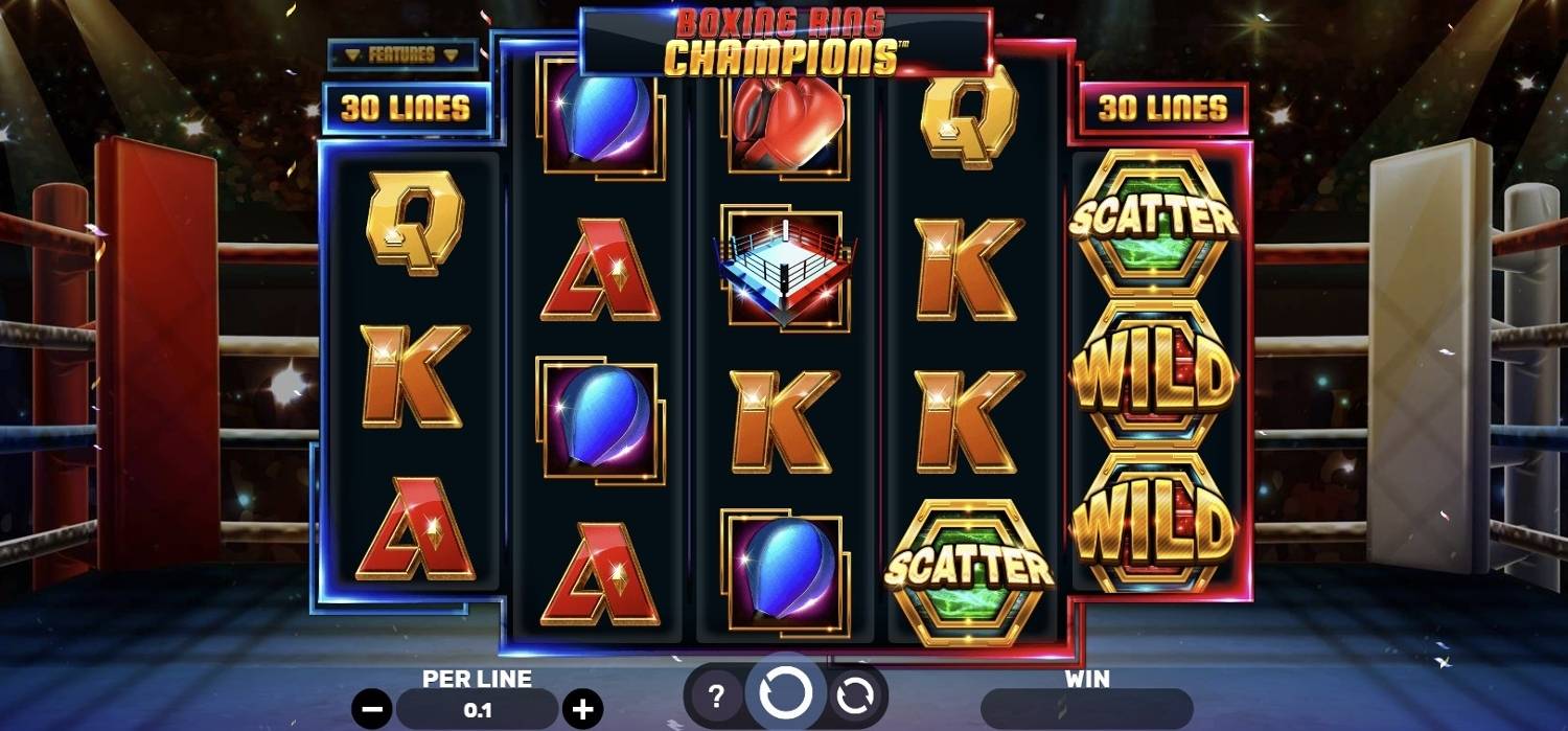 Boxing Ring Champions