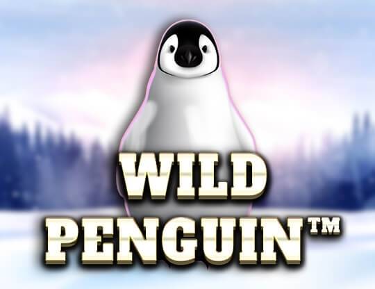 Play Wild Penguin demo for free