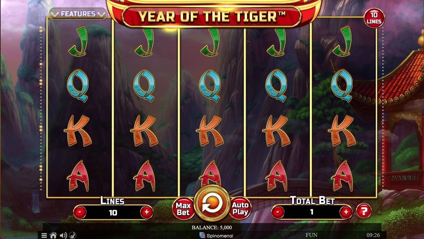 Year of the Tiger