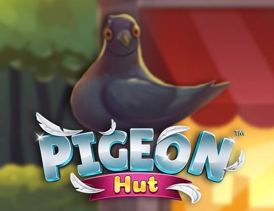 Play Pigeon Hut demo for free