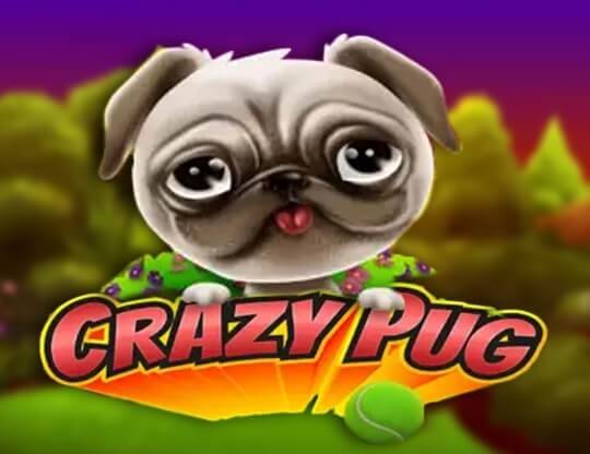 Play Crazy Pug demo for free