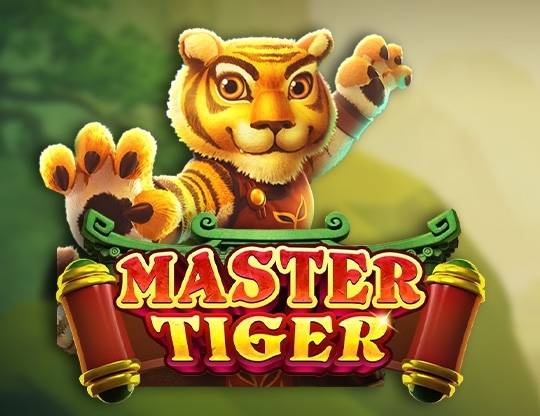 Play Master Tiger demo for free